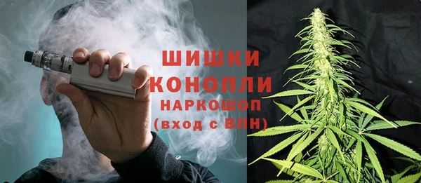 Альфа ПВП Дмитриев