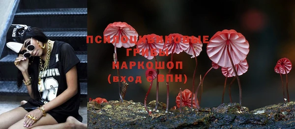 Альфа ПВП Дмитриев