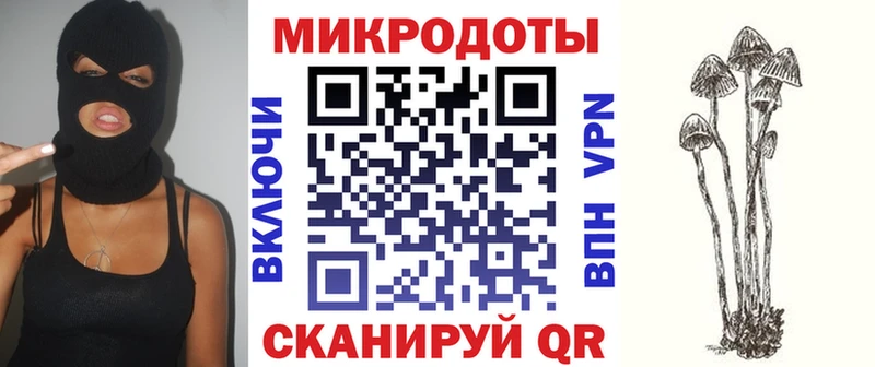 Галлюциногенные грибы Psilocybe  Купить  Шацк 